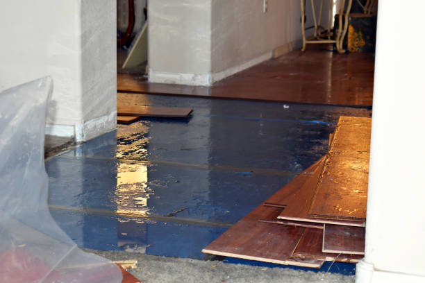 Professional Flood Damage Repair technician working in Middle Island, NY